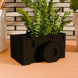 Puede incluir: Un macetero negro con forma de cámara con una planta verde creciendo fuera de él. El macetero está sentado sobre una superficie de madera.