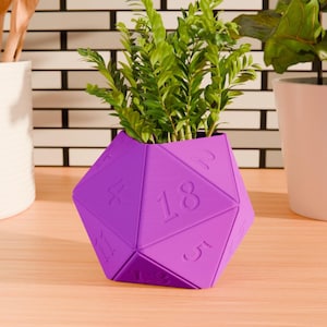 May include: Purple D20 dice shaped planter with a small green plant growing inside. The planter has numbers 1 through 20 on each side.