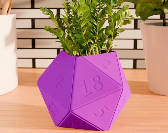 D20 Planter Dungeons and Dragons Gift DnD Planter RPG Dice Planter Gift For Gamer Gift Modern Succulent Planter Home Decor  For Him