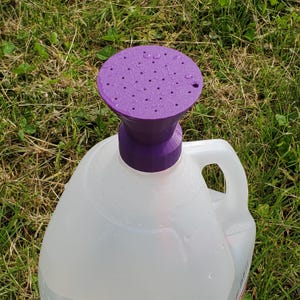 May include: A purple watering can attachment with a perforated top is placed on a white plastic jug. The attachment is designed to disperse water evenly. The jug has a handle and is sitting on green grass.