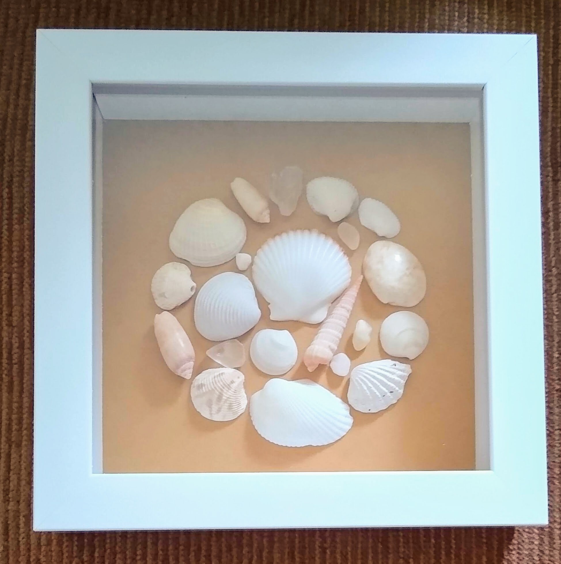 7"x7" Seashell Shadow Box Framed Seashell Coastal Decor - Etsy