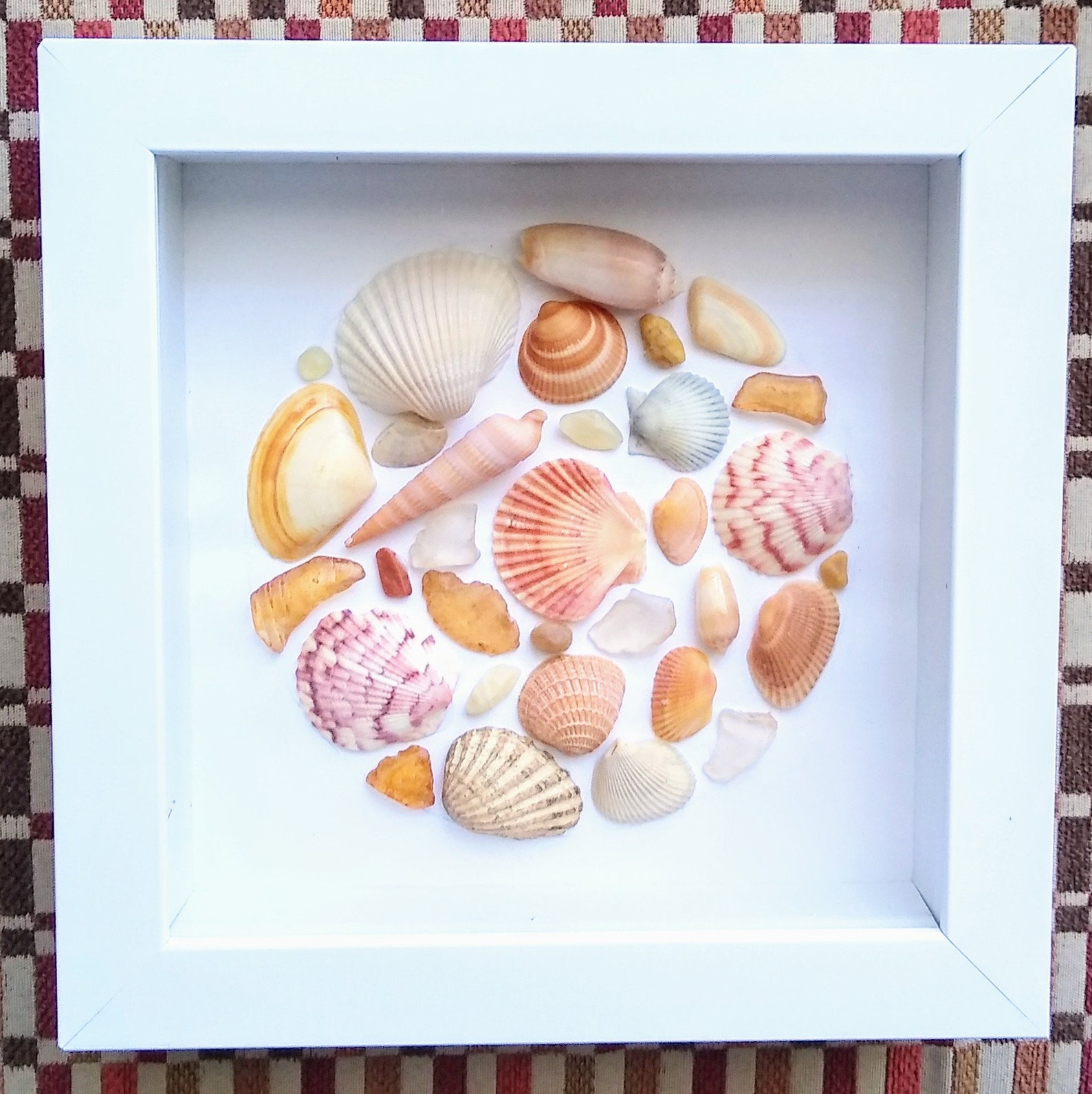 7x7 Sea Shell Shadow Box Framed shells Beach Etsy