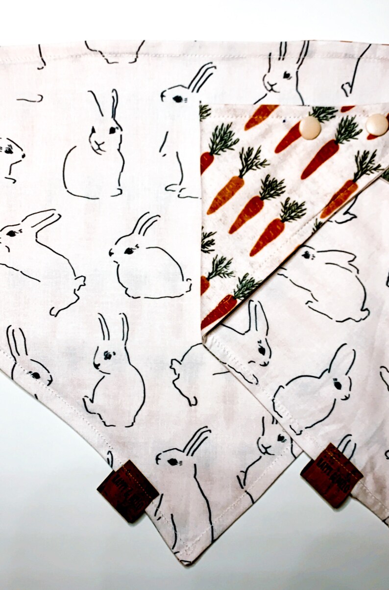 NEW Easter Bunny Dog Reversible Bandana Carrot Orange Green Beige Boho Chic Trendy Clothes Spring Inspired Cat Puppy Gift Apparel