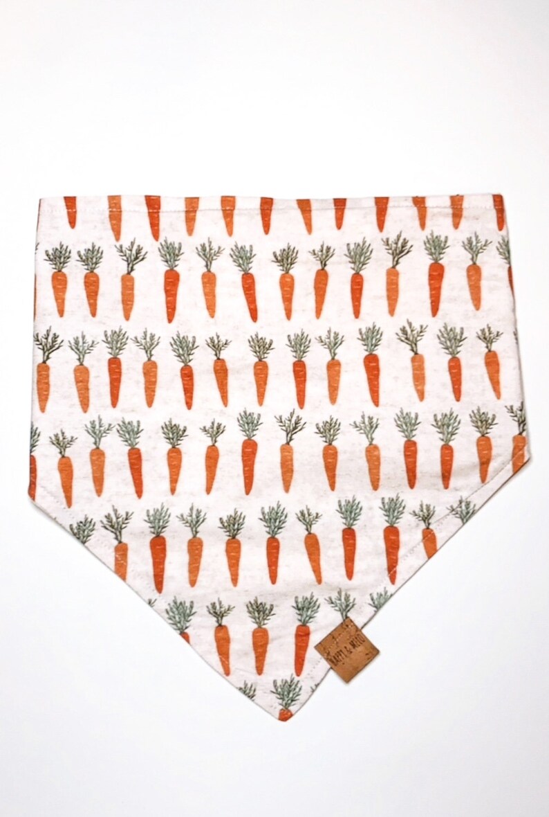 NEW Easter Bunny Dog Reversible Bandana Carrot Orange Green Beige Boho Chic Trendy Clothes Spring Inspired Cat Puppy Gift Apparel