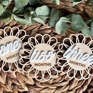 Marqueurs d'étapes mensuelles avec fleurs pour bébé, cadeau de baby shower, cartes d'étapes bohèmes pour photos de bébé, accessoire photo fleur en rotin pour bébé