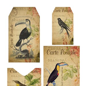 Cartão postal de pássaro 3 bolso digital, download digital, itens efêmeros, etiqueta de bolso, envelope carregado, diário de lixo, imprimível, folha de colagem,