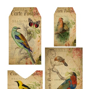 Cartão postal de pássaro de bolso digital, download digital, itens efêmeros, etiqueta de bolso, envelope carregado, diário de lixo, imprimível, folha de colagem,