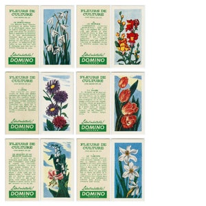 Fleurs de culture, cartes cigarettes recto-verso, téléchargements numériques, scrapbooking, journaux indésirables, éphémères,