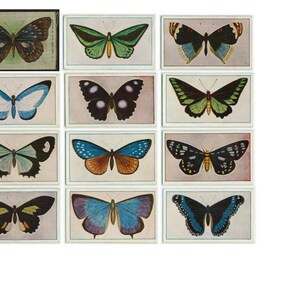 Butterfly, Vintage, Printable, Tea Cards, 3 Pages, Digital Downloads, Junk Journals, Ta Cards, Ephemera, Scrapbooking,