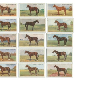 Horse 2,  Vintage Cigarette Cards, 4 Pages, Digital Downloads, Ephemera, Junk Journals, Scrapbooking,