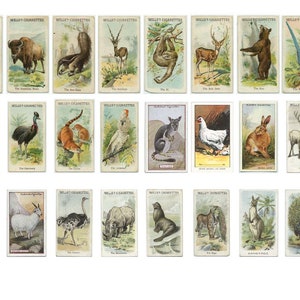 Animal Printable Vintage Tea Cards, 1 Page Digital Download,  Junk Journal, Ephemera, Vintage Ephemera, Scrapbooking