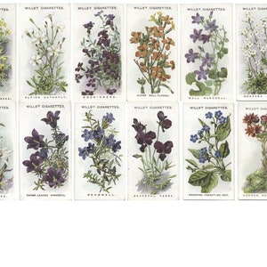 Vintage Floral 2, Cigarette Cards, Instant Download, Vintage Ephemera, Journal, Digital Downloads, Ephemera, Scrapbooking,