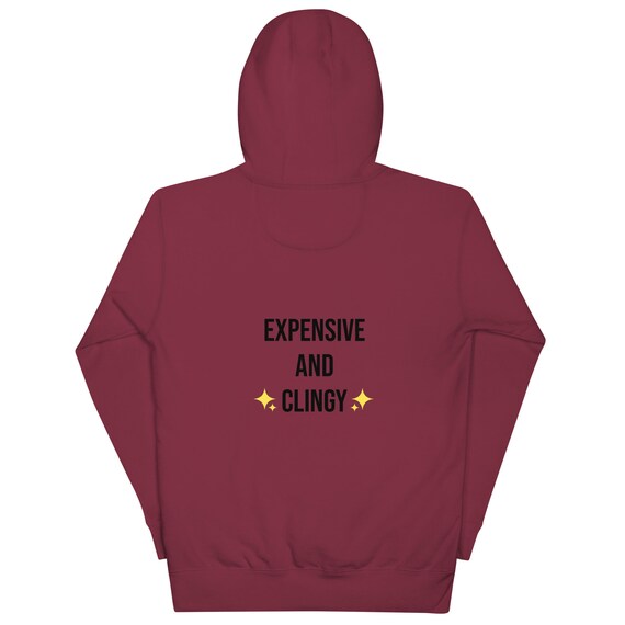 Unisex Hoodie Dry Humor Red Flag Addition Expensive and Clingy