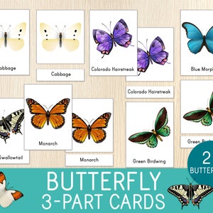 Cartes papillon en 3 parties - Cartes de nomenclature Montessori - Cartes-éclair - Insectes pour enfants - Biologie - Centres des sciences - Étude de l'unité papillon