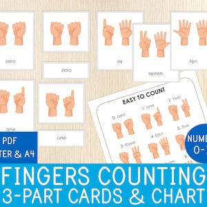 Counting Activity Worksheet, 3-Part Cards & Chart, Nomenclature Cards, Numbers, Toddler and Preschool Math Game - Educational Printable
