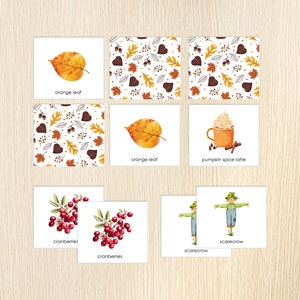 Fall Memory Game, Autumn Matching Activity, Fall Vocabulary, Visual ...