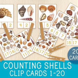 Cartões de contagem e recorte - Contagem de conchas - Números de 1 a 20 - Cartões de contagem Montessori - Flashcards de matemática - Pré-escola, Charlotte Mason, Escola de verão