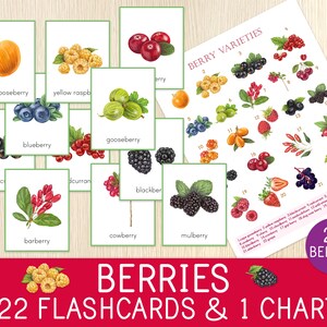 Bessen fruit Flashcards & grafiek, soorten bessen poster, Science Centers, educatieve afdrukbare, Charlotte Mason, homeschool