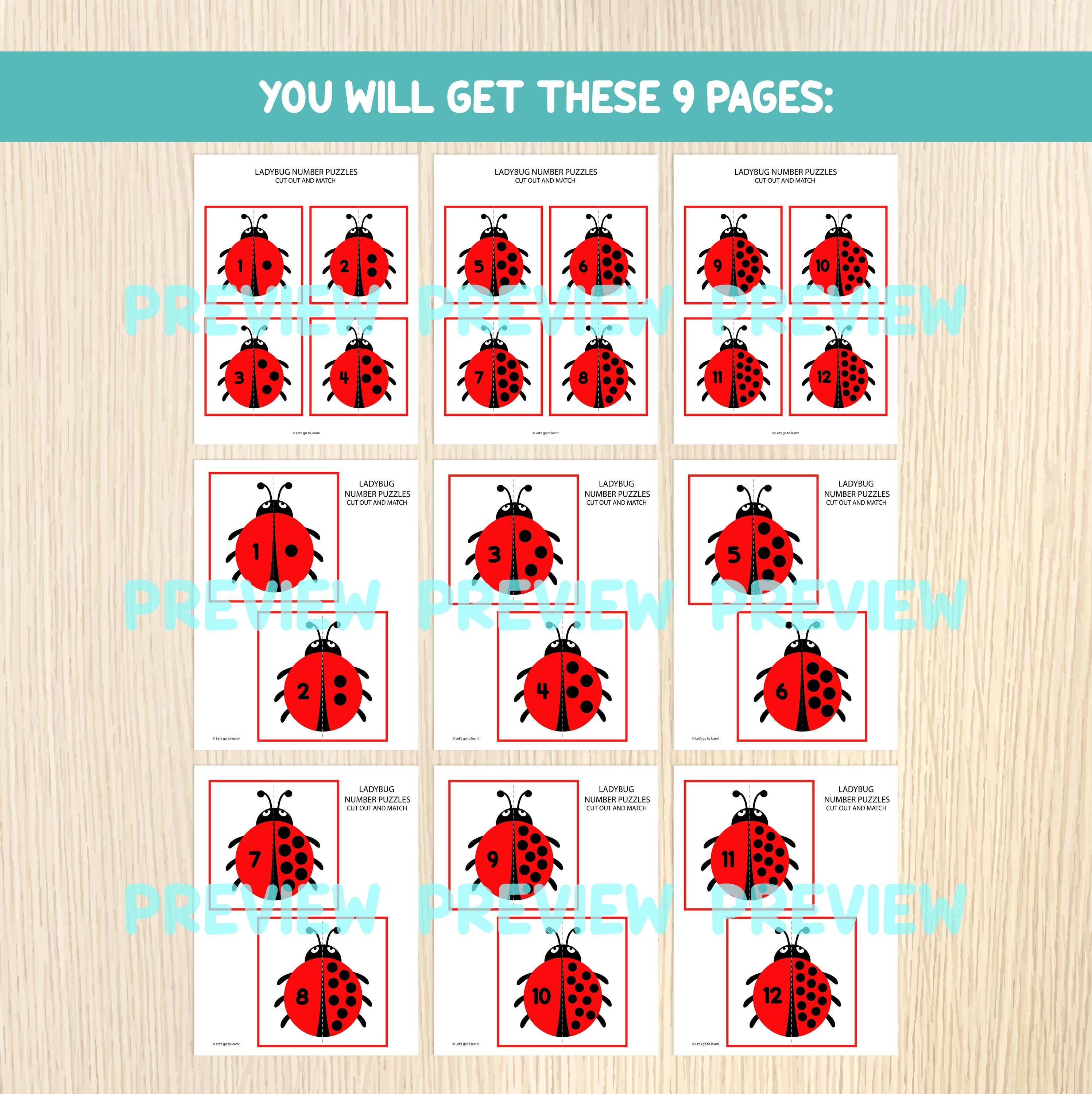 Ladybug Number Matching Game – Number Recognition Activity for ...