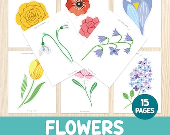 Hojas de práctica para cortar flores, actividad de primavera, preescolar y jardín de infantes, educación en casa, centros, motricidad fina, juego educativo