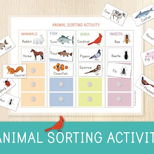 Sorting Activity for Preschool & Kindergarten - Animals Worksheet for Kids - Busy Book Page - Educational Game - Homeschool - Montessori