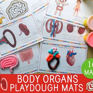 Peut inclure: Un ensemble de 16 tapis de pâte à modeler colorés représentant différents organes du corps humain, notamment le cœur, les poumons, les reins, les intestins et la rate. Chaque tapis présente un dessin au trait de l'organe et l'inscription "Trace it" à côté. Les tapis sont conçus pour aider les enfants à découvrir le corps humain tout en s'amusant avec de la pâte à modeler.
