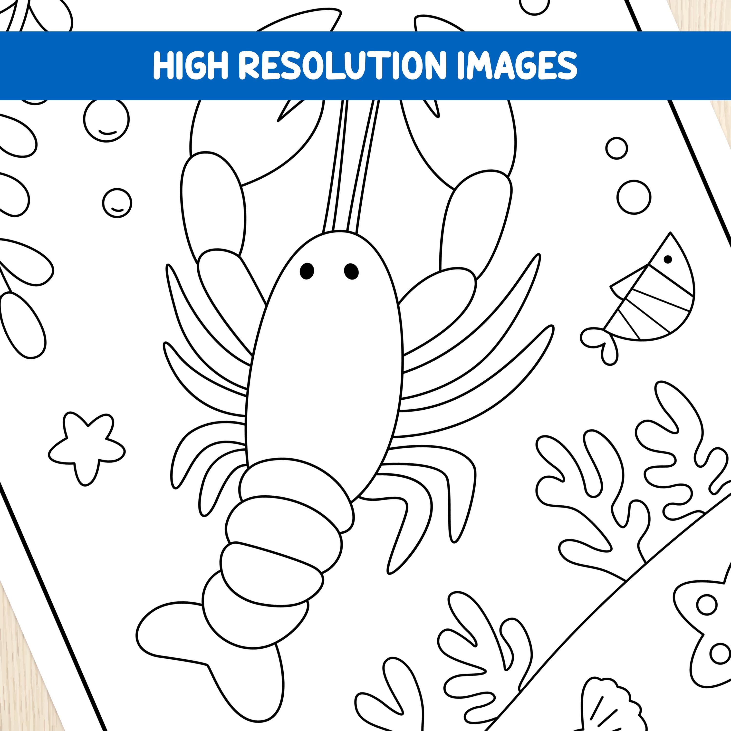 Sea Animals Coloring Pages, Ocean Animal Printable Activity, Preschool ...