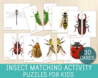 Activité d'association d'insectes, 30 puzzles d'insectes, Symétrie, Puzzles pour enfants, Jeu pour tout-petits et préscolaires, Livre occupé, Sacs occupés, Style Montessori