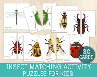 Insecten matchen, 30 insectenpuzzels, symmetrie, kinderpuzzels, peuter- en kleuterspel, druk boek, drukke tassen, montessoristijl