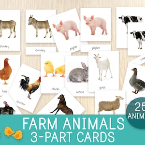 Farm Animals 3-Part Cards, 25 Animals, Flashcards,  Nomenclature Cards, Montessori Cards, Vocabulary, Biology, Science, Preschool, Kinder