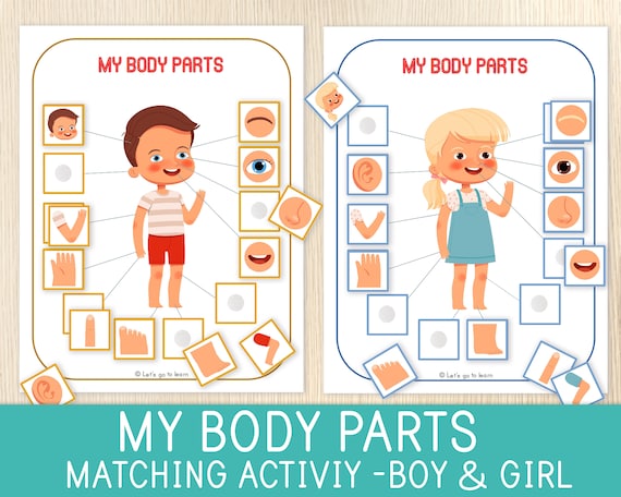 body parts matching activity human body toddler and etsy australia