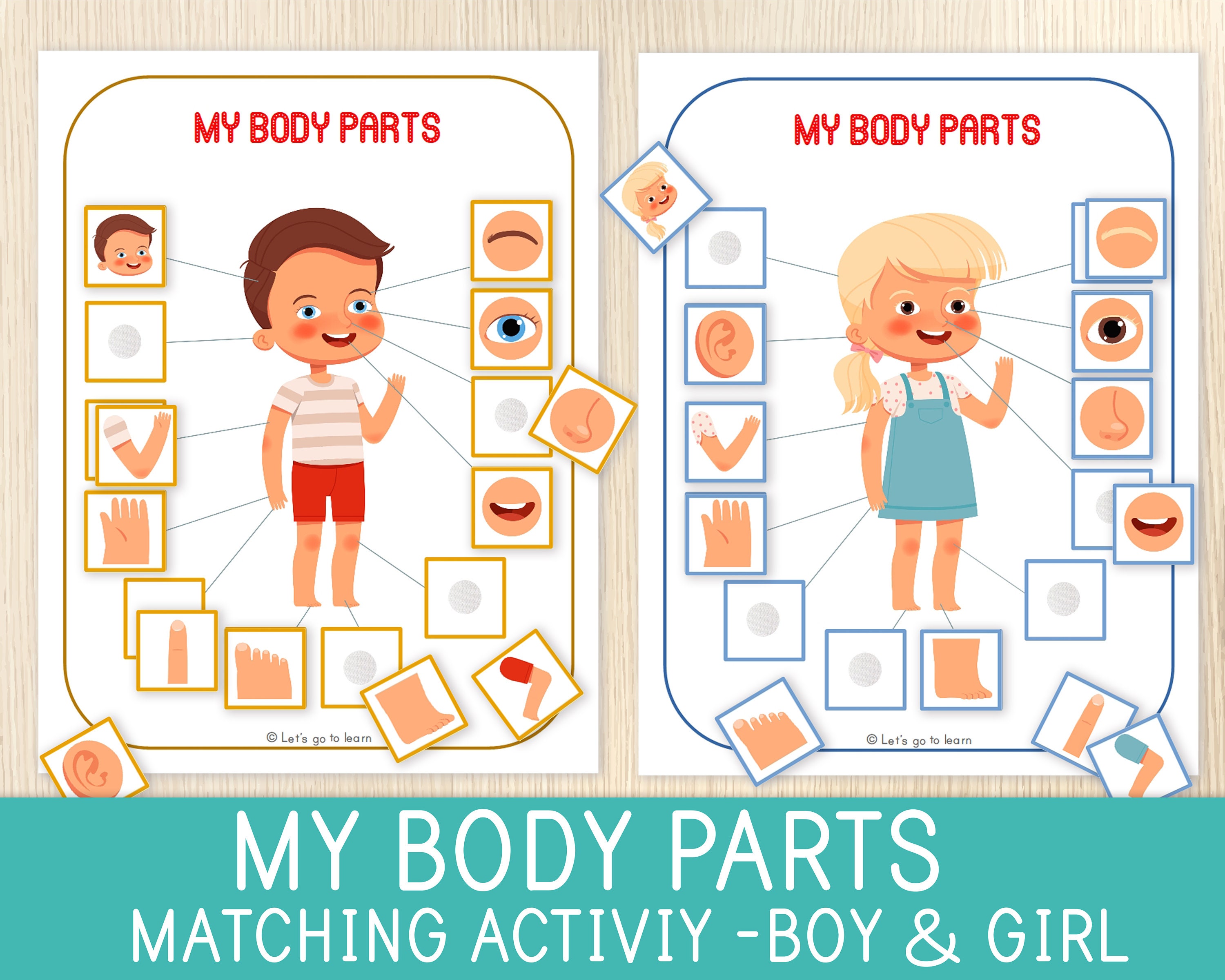 body parts matching activity human body toddler and etsy
