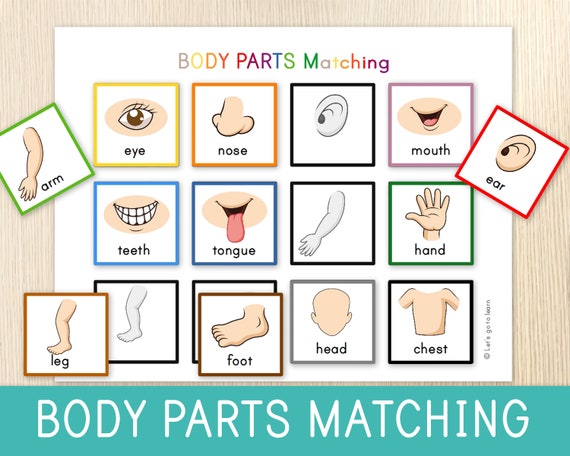 Body Parts Matching Activity for Toddlers Human Body Toddler | Etsy