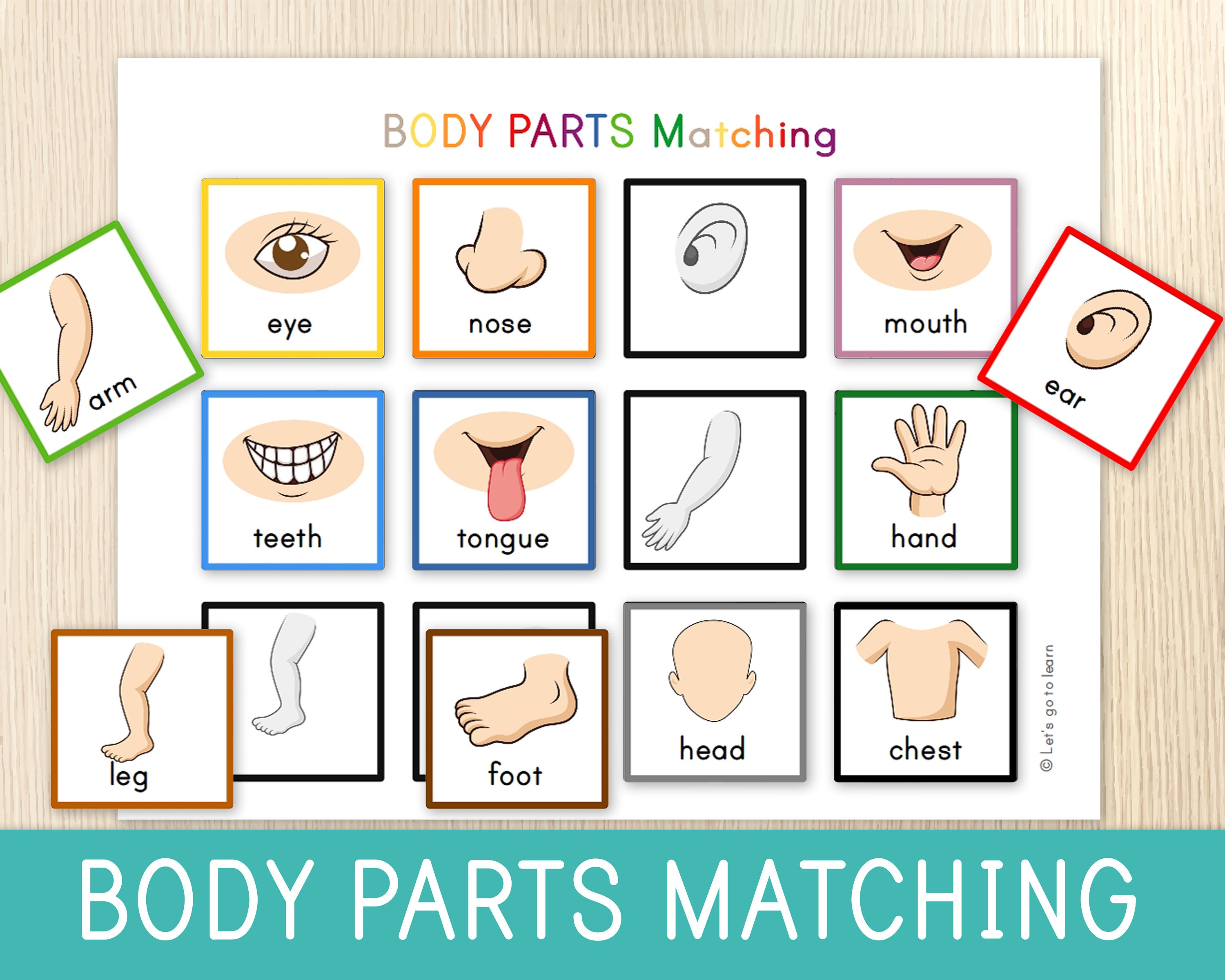 Body Parts Matching Activity For Toddlers Human Body Toddler Etsy Canada