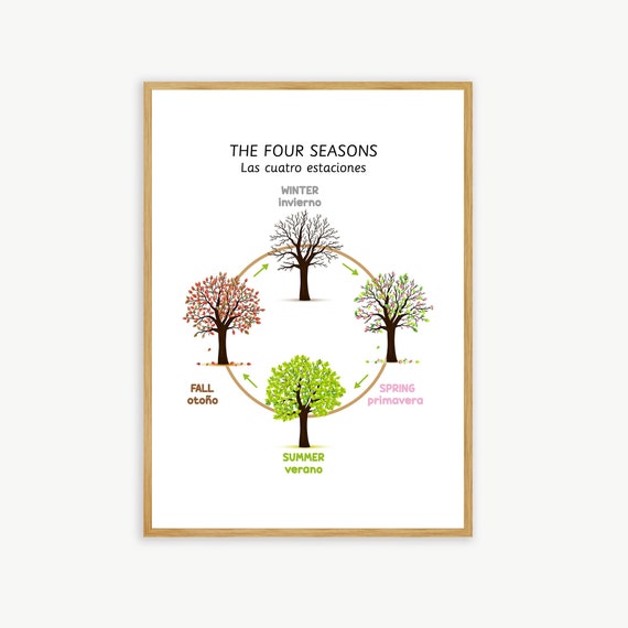 Seasons Poster in English & Spanish, Bilingual Poster, Classroom and Home Decor, Wall Art, Preschool, Spanish Vocabulary, Educational Chart