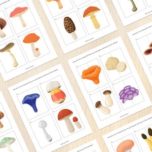 May include: Sheets of paper with colorful mushroom illustrations for a matching game. The mushrooms are in various shapes and colors, including red, orange, blue, and purple. Text on the sheets reads, "Just print, cut out along the lines, mix up the pieces, and find all of the matches!"
