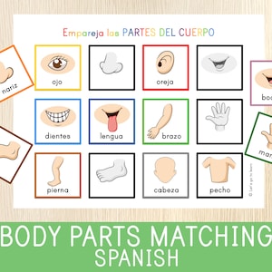 Atividade de correspondência de partes do corpo EM ESPANHOL, Corpo humano, Página de livro de atividades para crianças pequenas, Pasta de aprendizagem, Pré-escola, Folha de exercícios educacional para impressão