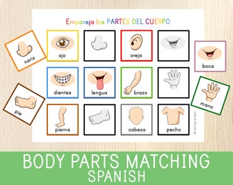 Body Parts Matching Activity IN SPANISH, Human Body, Toddler Busy Book Page, Learning Binder, Preschool, Educational Printable Worksheet