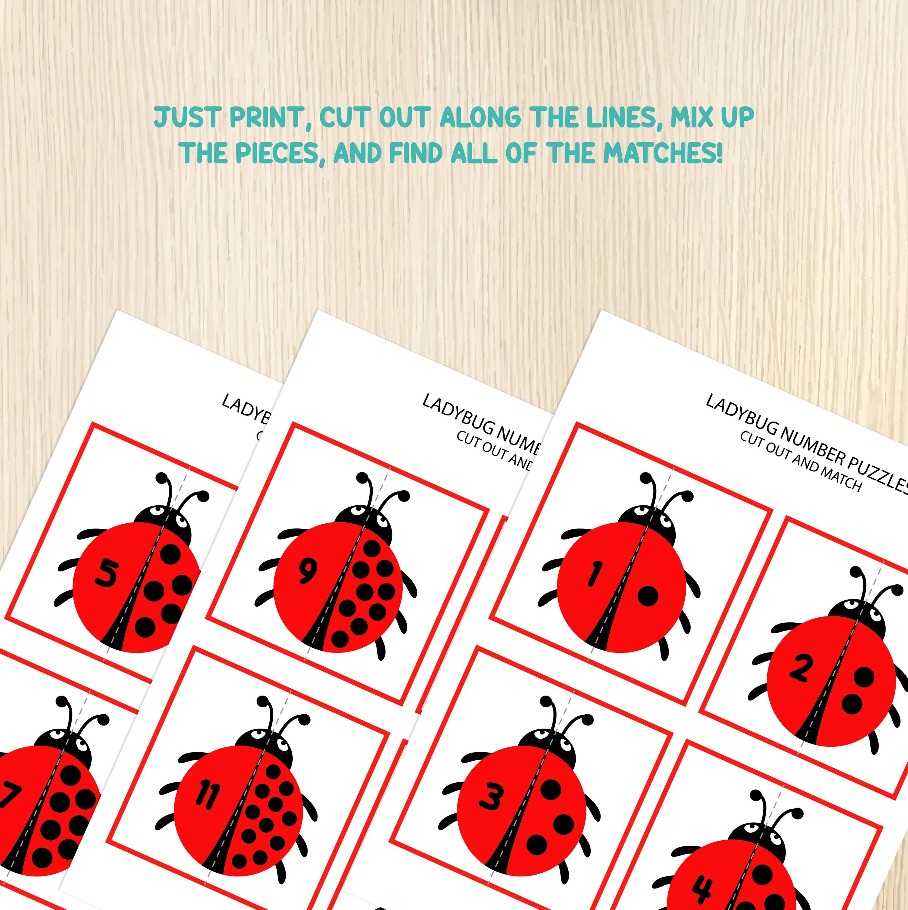 Ladybug Number Matching Game – Number Recognition Activity for ...