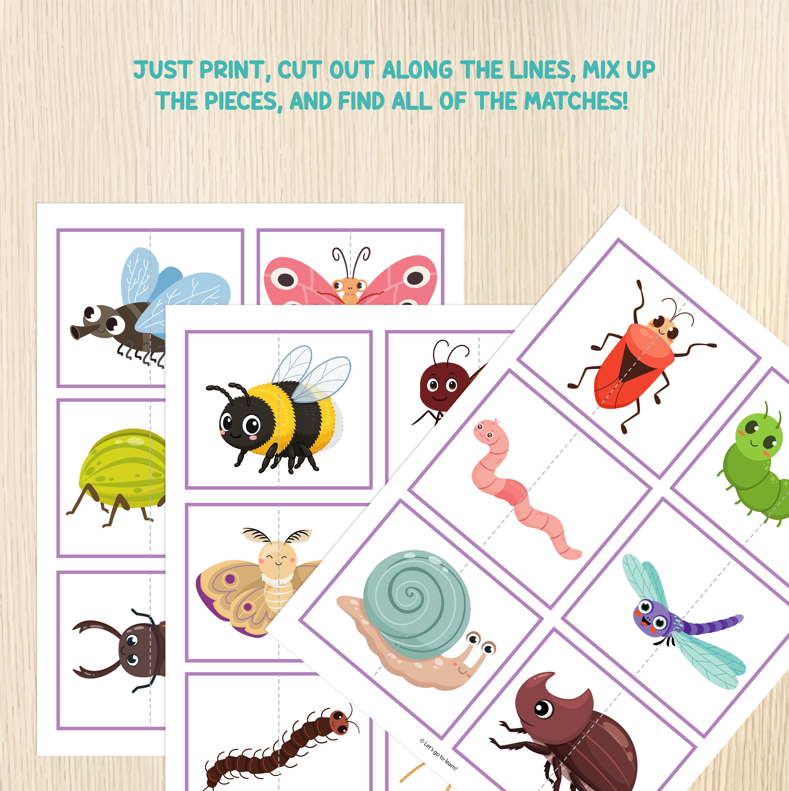 Bug Matching Craft Bugs Matching Game - Insects Symmetry Cards - Toddler Matching Activity ...