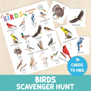 Può includere: Un foglio di attività per una caccia al tesoro sugli uccelli con illustrazioni di varie specie come il cardinale, la ghiandaia azzurra e il tacchino, con caselle di controllo. Include sedici carte quadrate separate con immagini e un'etichetta blu.