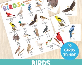 Birds Scavenger Hunt with Cards – Birds Hunt Game – Nature Activity for Kids –  Preschool & Kindergarten – Outdoor IndoorTreasure Hunt