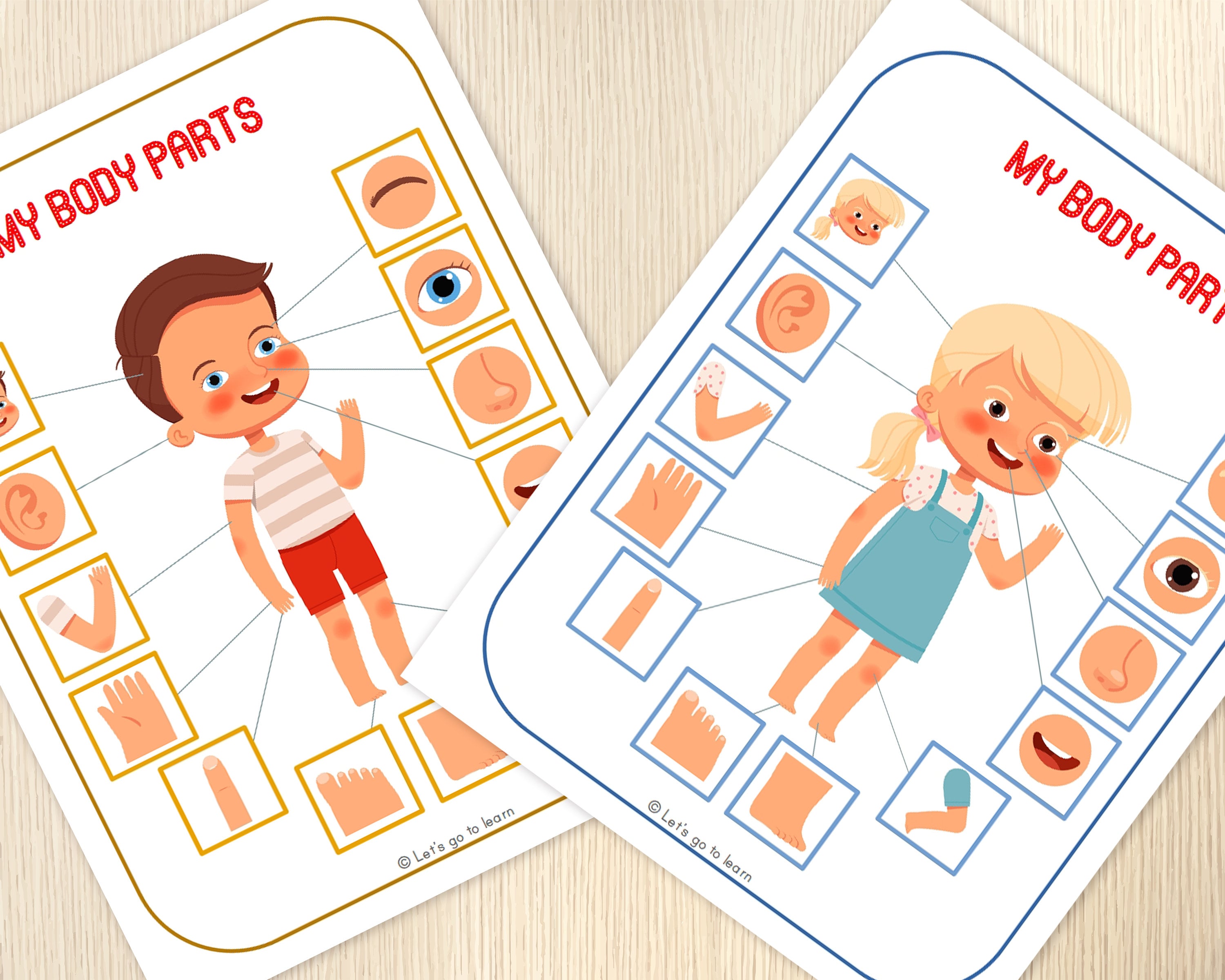 Body Parts Matching Activity Human Body Toddler and | Etsy