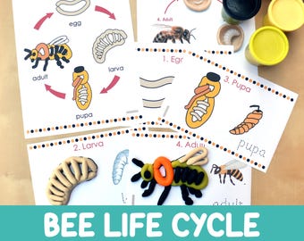 Bee Life Cycle Playdough Mats - Play Doh Activity - Preschool & Kindergarten Game - Insect Life Cycle Learning - Homeschool Science Activity