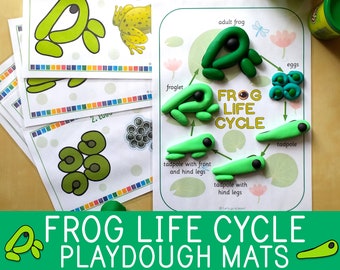 Frog Life Cycle Playdough Mats, Play Doh Activity, Preschool Game, Pre-k, Kindergarten, Biology for Kids, Amphibians, Science Centers Idea