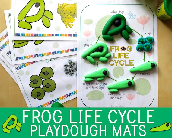 Frog Life Cycle Playdough Mats, Play Doh Activity, Preschool Game, Pre-k,  Kindergarten, Biology for Kids, Amphibians, Science Centers Idea 