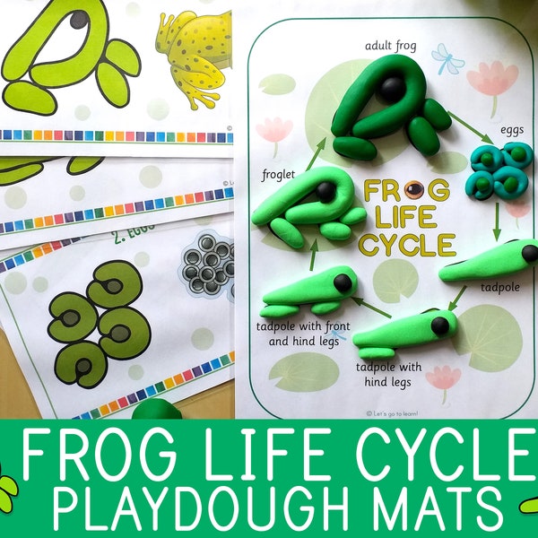 Frog Life Cycle Playdough Mats, Play Doh Activity, Preschool Game, Pre-k, Kindergarten, Biology for Kids, Amphibians, Science Centers Idea