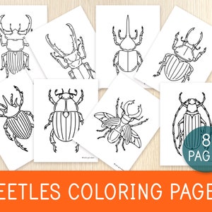 Beetles Coloring Pages, 8 Printable Sheets, Insects, Nature Study, Charlotte Mason, Preschool, Elementary School, Homeschool, Art for Kids