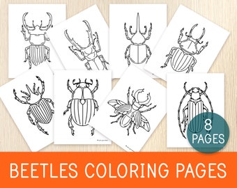 Beetles Coloring Pages, 8 Printable Sheets, Insects, Nature Study, Charlotte Mason, Preschool, Elementary School, Homeschool, Art for Kids