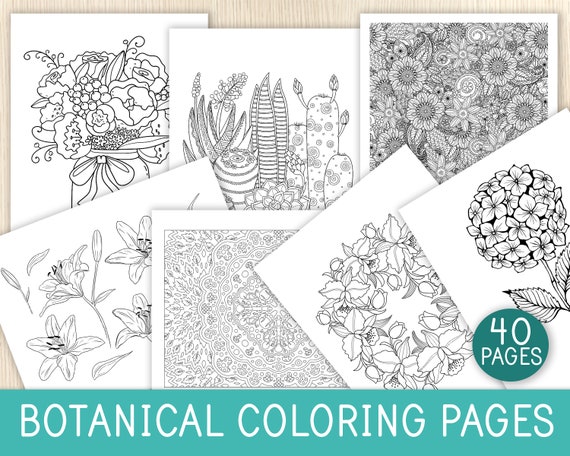 Botanical Coloring Pages 40 Sheets Kids & Adults Coloring